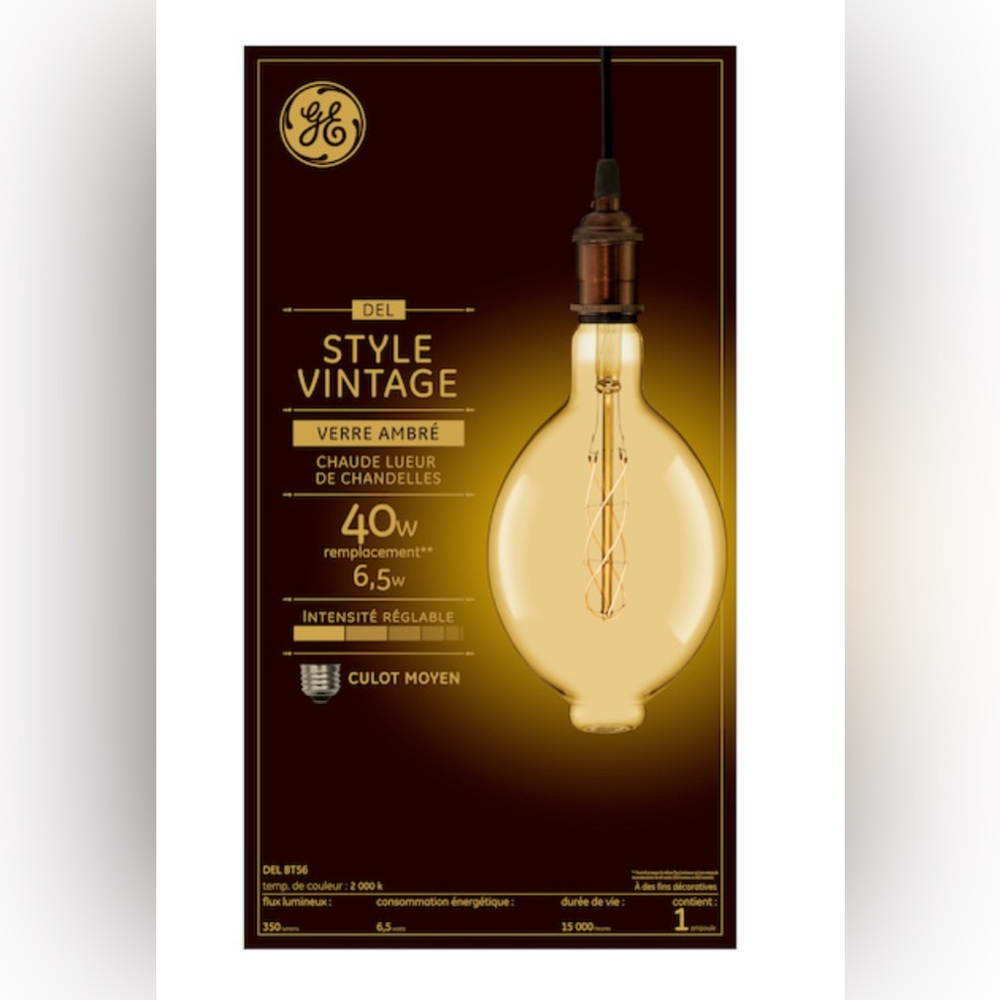 GE Vintage Style LED Light Bulb 💡 LARGE! 🤭